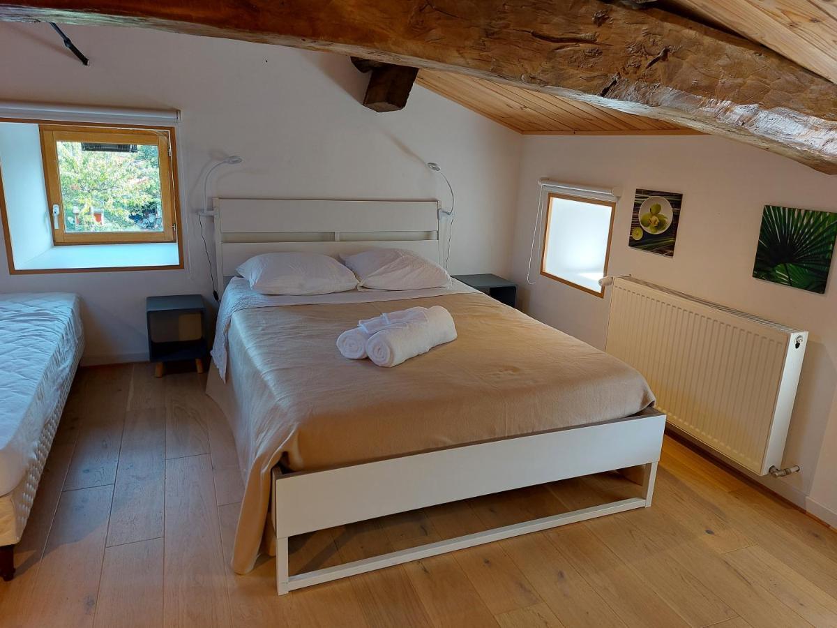 La Cambuse Des Gones - Gite 3 Chambres Thurins Exterior photo